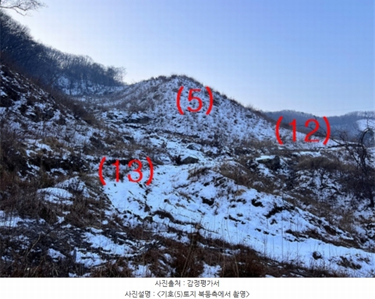 2023타경5859 경기도 양평군 강하면 동오리 산79 임야 경매 이미지