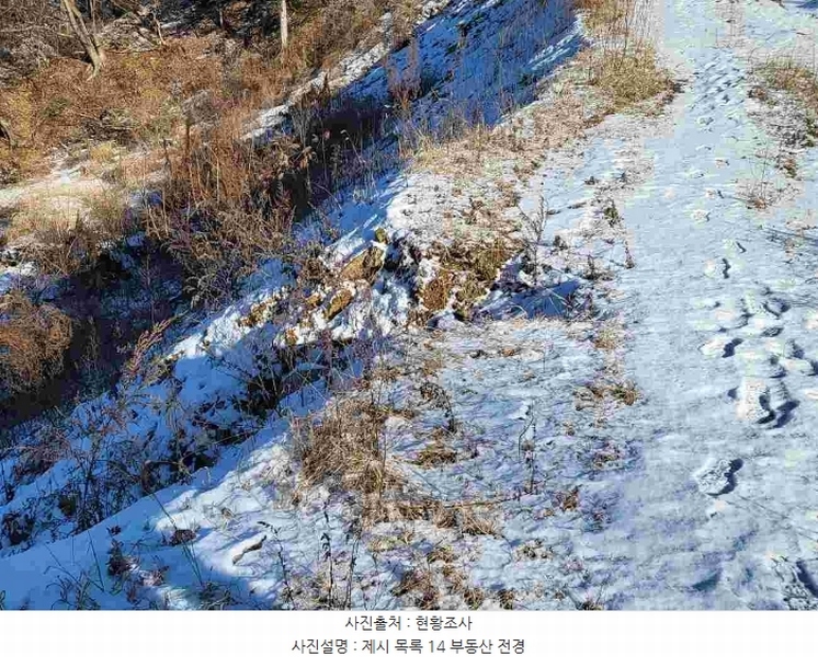 2023타경5859 경기도 양평군 강하면 동오리 산79 임야 경매 이미지