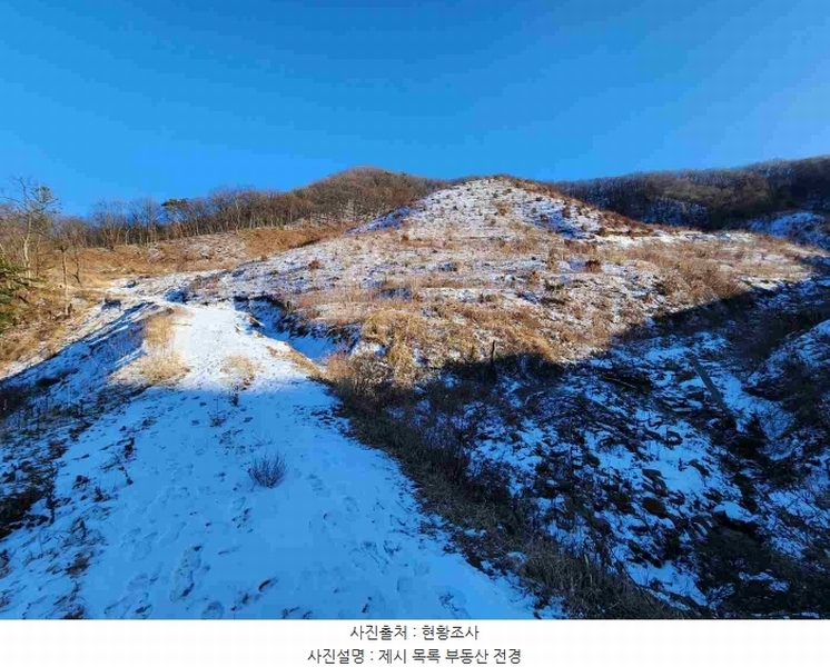 2023타경5859 경기도 양평군 강하면 동오리 산79 임야 경매 이미지