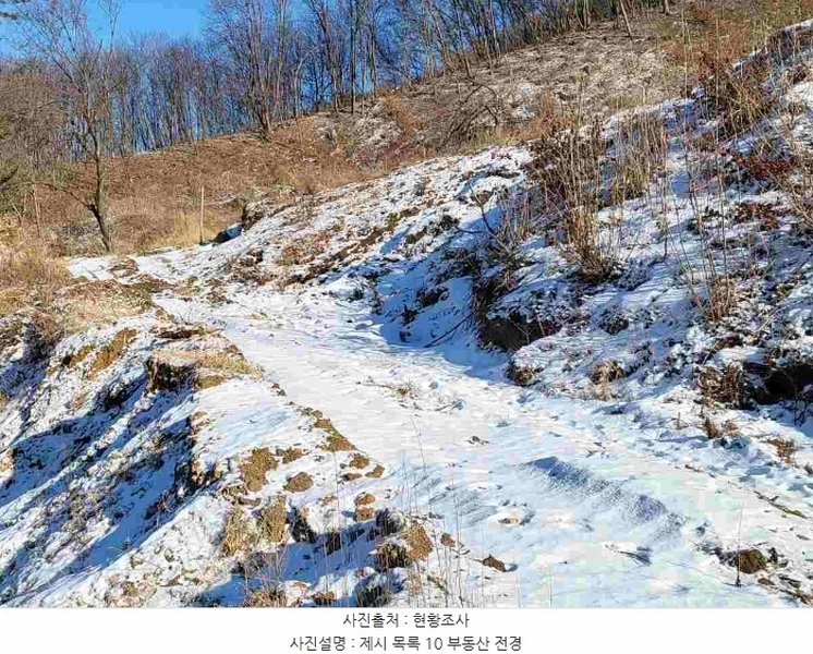 2023타경5859 경기도 양평군 강하면 동오리 산79 임야 경매 이미지