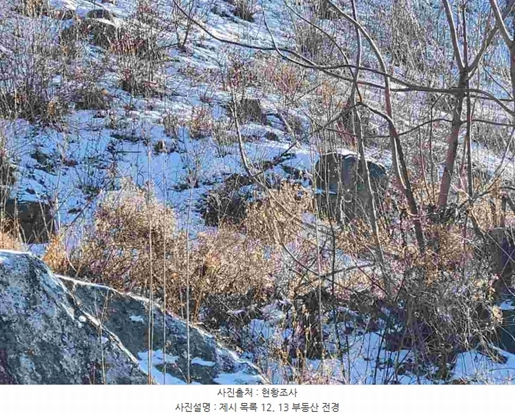 2023타경5859 경기도 양평군 강하면 동오리 산79 임야 경매 이미지