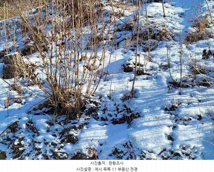 2023타경5859 경기도 양평군 강하면 동오리 산79 임야 경매 이미지