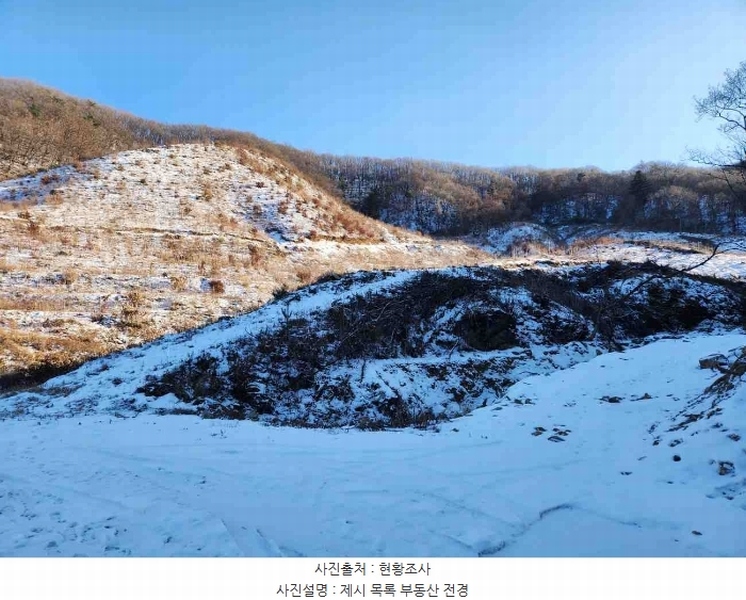 2023타경5859 경기도 양평군 강하면 동오리 산79 임야 경매 이미지