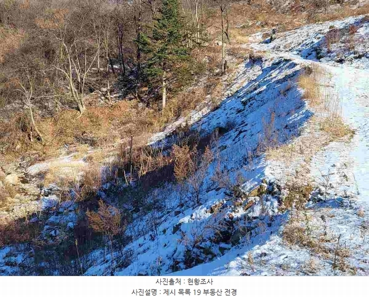 2023타경5859 경기도 양평군 강하면 동오리 산79 임야 경매 이미지