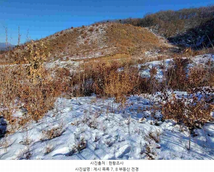 2023타경5859 경기도 양평군 강하면 동오리 산79 임야 경매 이미지