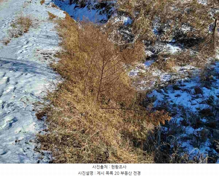 2023타경5859 경기도 양평군 강하면 동오리 산79 임야 경매 이미지