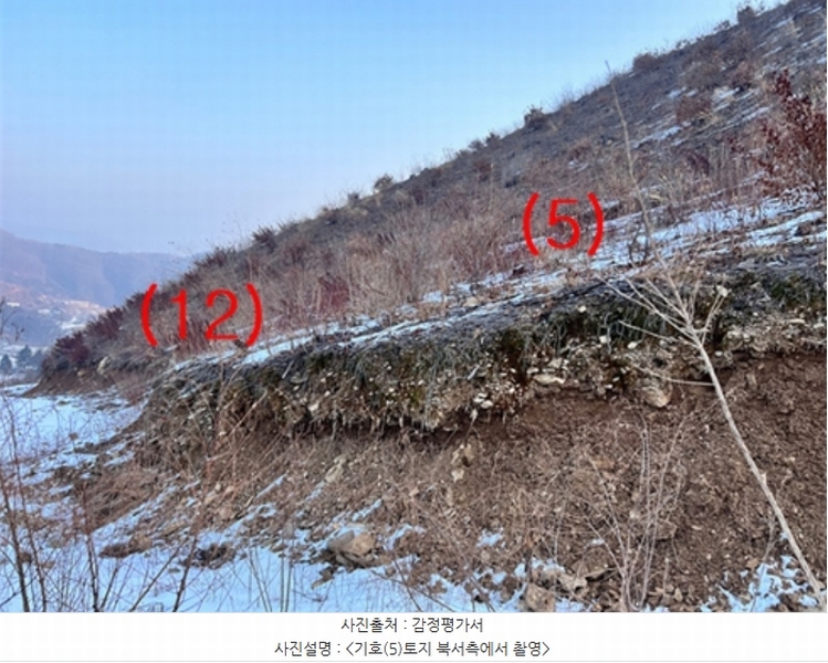 2023타경5859 경기도 양평군 강하면 동오리 산79 임야 경매 이미지