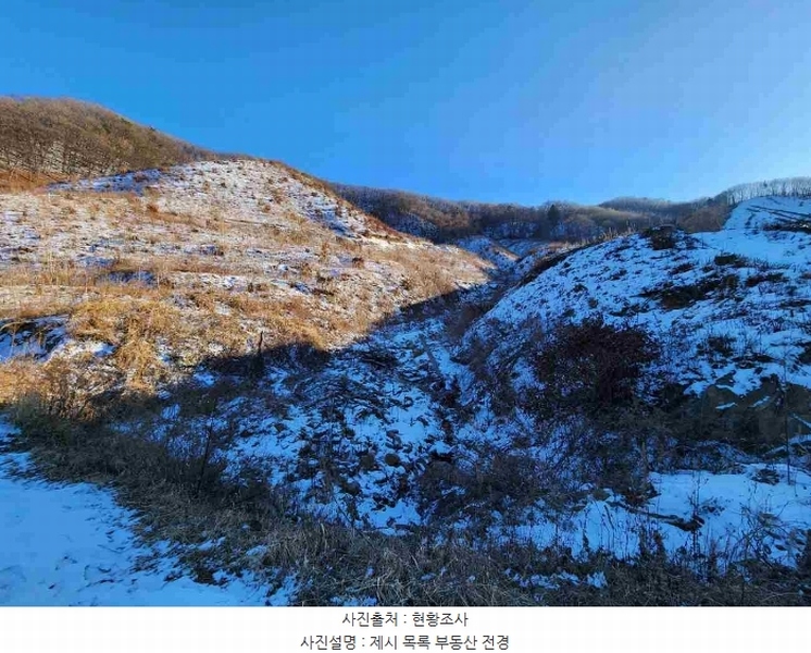 2023타경5859 경기도 양평군 강하면 동오리 산79 임야 경매 이미지