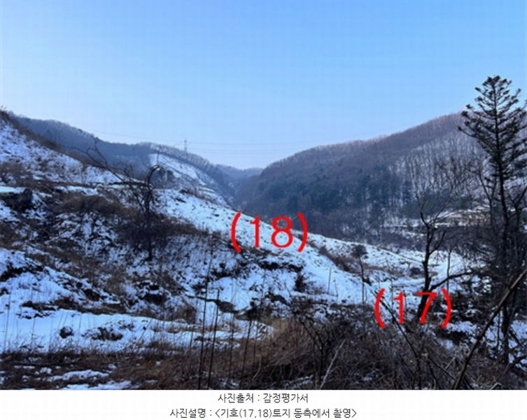 2023타경5859 경기도 양평군 강하면 동오리 산79 임야 경매 이미지