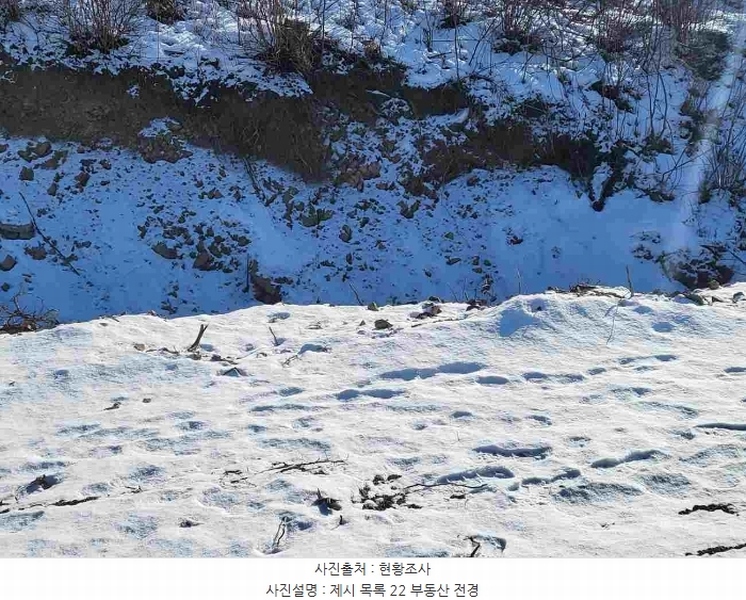 2023타경5859 경기도 양평군 강하면 동오리 산79 임야 경매 이미지