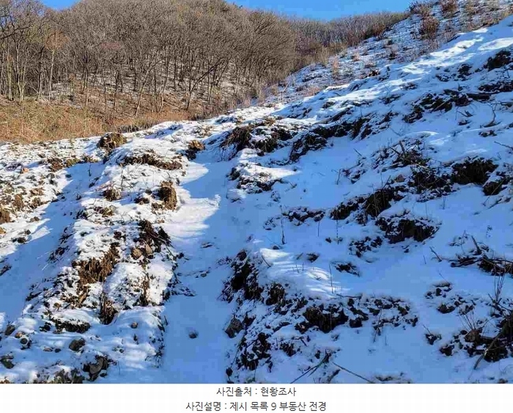 2023타경5859 경기도 양평군 강하면 동오리 산79 임야 경매 이미지