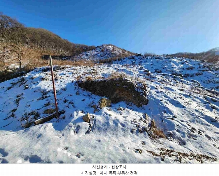 2023타경5859 경기도 양평군 강하면 동오리 산79 임야 경매 이미지