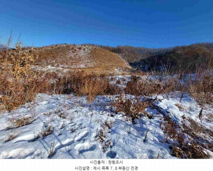2023타경5859 경기도 양평군 강하면 동오리 산79 임야 경매 이미지