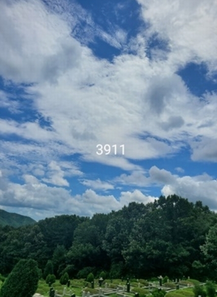 2024타경3911 부산광역시 기장군 정관읍 용수리 산129-1 임야 경매 이미지