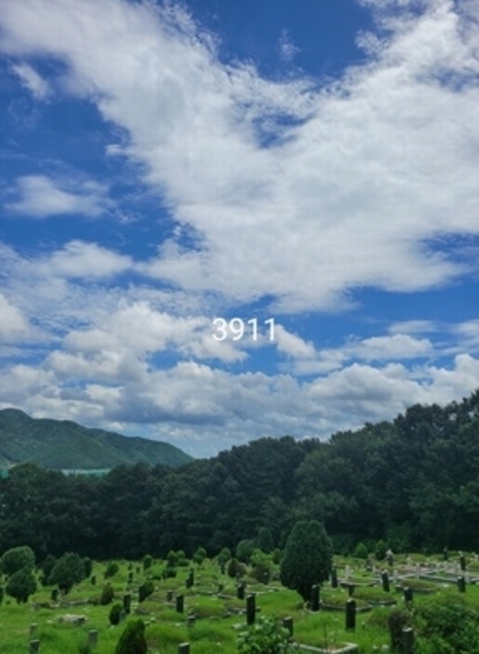 2024타경3911 부산광역시 기장군 정관읍 용수리 산129-1 임야 경매 이미지