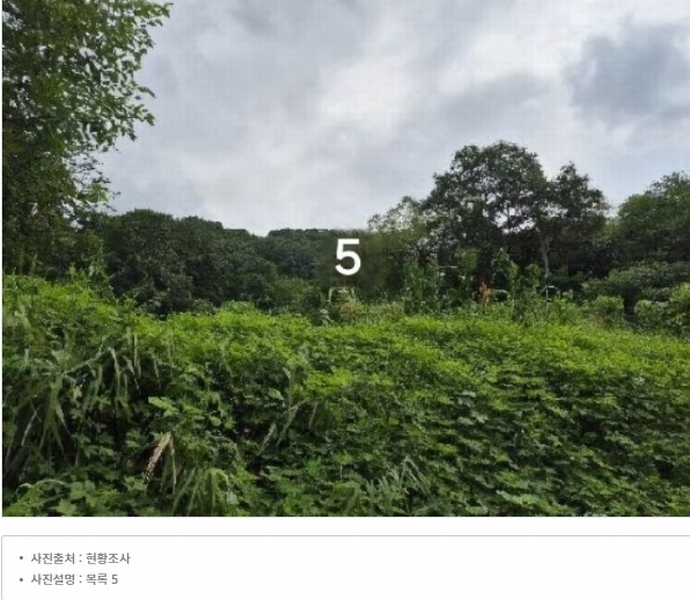 2024타경4099 경기도 양평군 지평면 무왕리 305-2 주택 경매 이미지