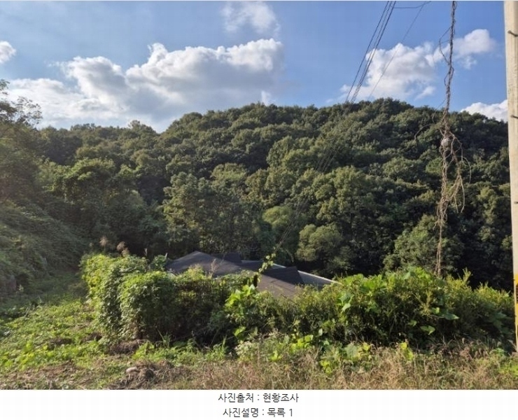 2024타경5511 경기도 양평군 개군면 공세리 17-3 농지 경매 이미지