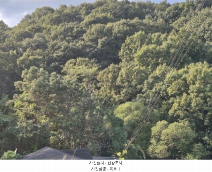 2024타경5511 경기도 양평군 개군면 공세리 17-3 농지 경매 이미지