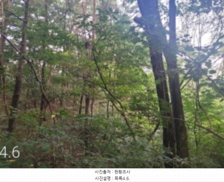 2024타경36515 경기도 여주시 점동면 도리 52-21 창고 경매 이미지