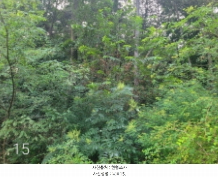 2024타경36515 경기도 여주시 점동면 도리 52-21 창고 경매 이미지