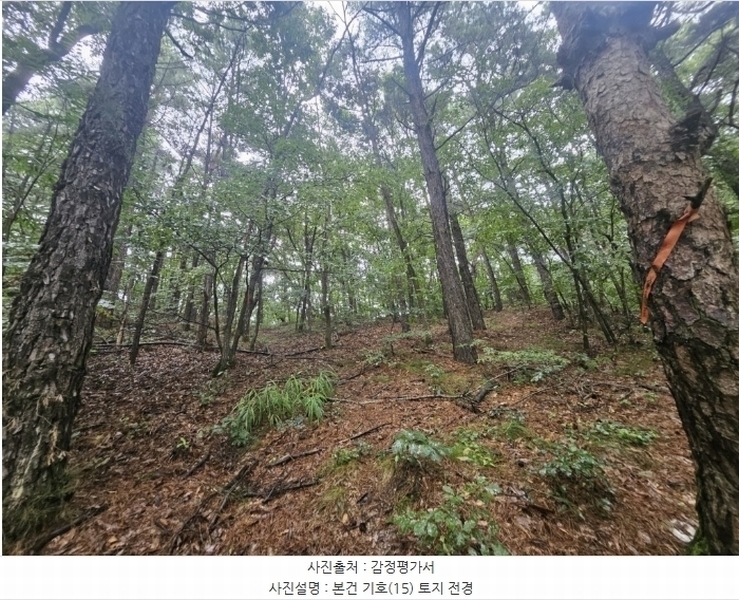 2024타경36515 경기도 여주시 점동면 도리 52-21 창고 경매 이미지