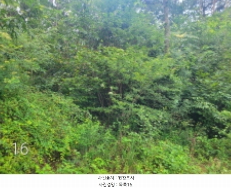 2024타경36515 경기도 여주시 점동면 도리 52-21 창고 경매 이미지