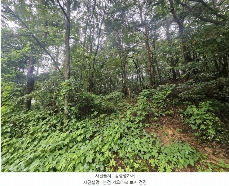 2024타경36515 경기도 여주시 점동면 도리 52-21 창고 경매 이미지