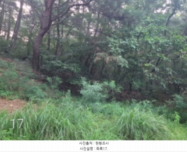2024타경36515 경기도 여주시 점동면 도리 52-21 창고 경매 이미지