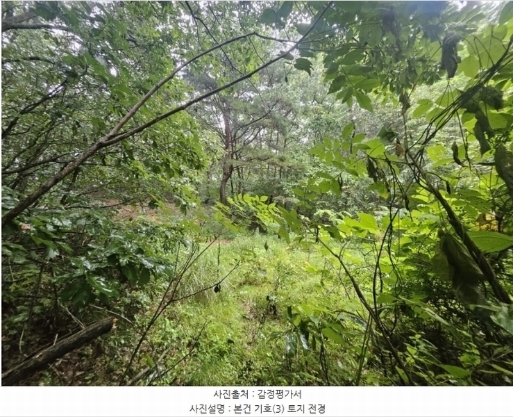 2024타경36515 경기도 여주시 점동면 도리 52-21 창고 경매 이미지