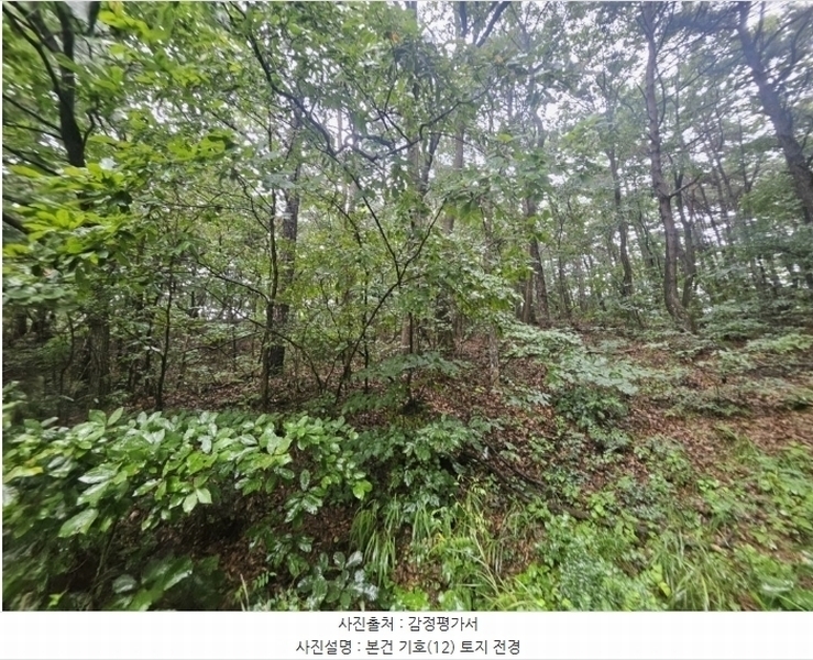 2024타경36515 경기도 여주시 점동면 도리 52-21 창고 경매 이미지
