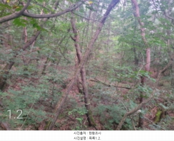 2024타경36515 경기도 여주시 점동면 도리 52-21 창고 경매 이미지