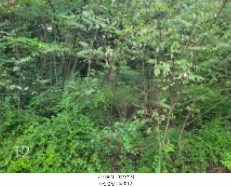 2024타경36515 경기도 여주시 점동면 도리 52-21 창고 경매 이미지