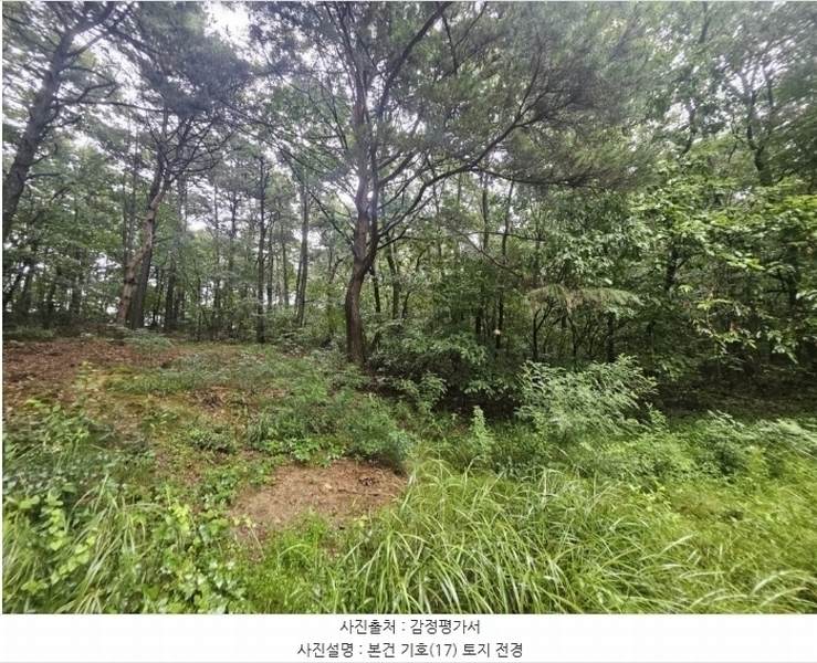 2024타경36515 경기도 여주시 점동면 도리 52-21 창고 경매 이미지