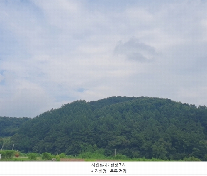 2024타경36539 경기도 양평군 옥천면 신복리 산3 임야 경매 이미지