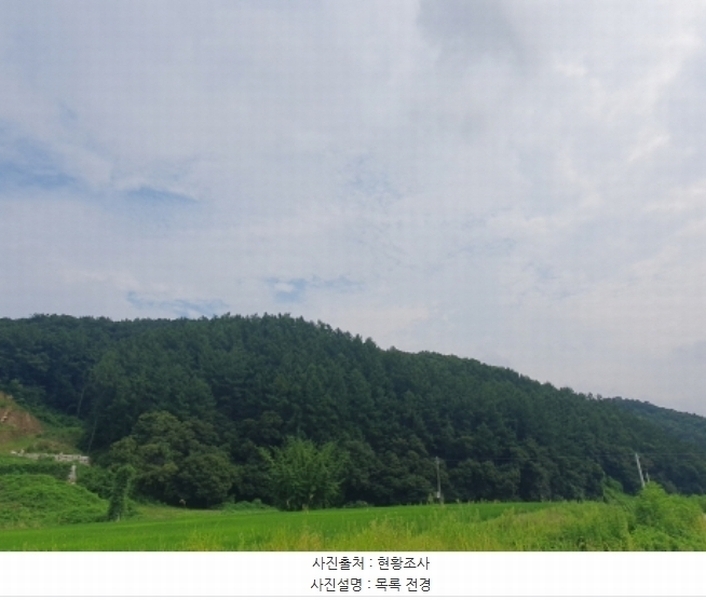 2024타경36539 경기도 양평군 옥천면 신복리 산3 임야 경매 이미지