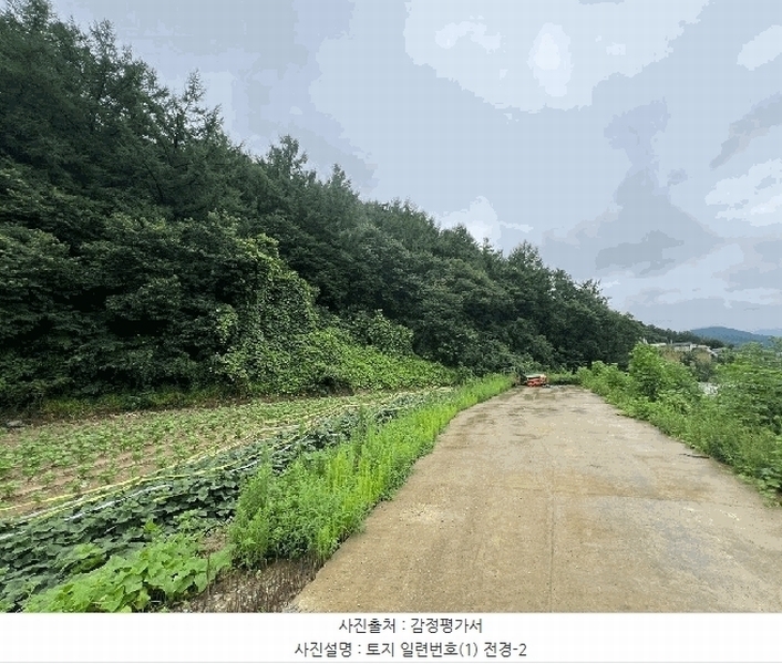 2024타경36539 경기도 양평군 옥천면 신복리 산3 임야 경매 이미지