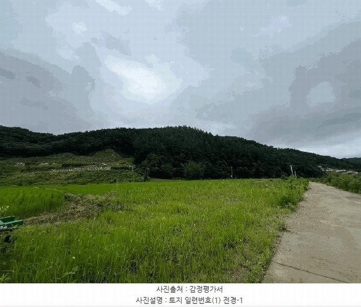 2024타경36539 경기도 양평군 옥천면 신복리 산3 임야 경매 이미지