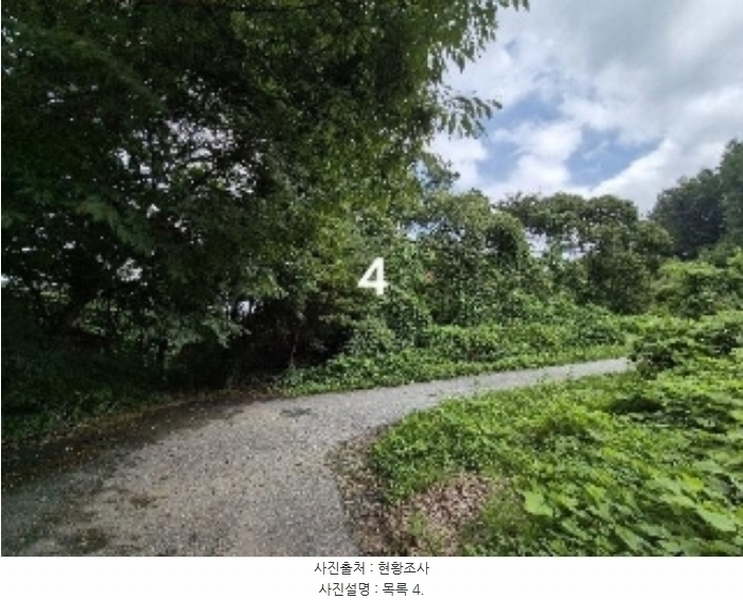 2024타경36904 경기도 양평군 강상면 세월리 산35 임야 경매 이미지