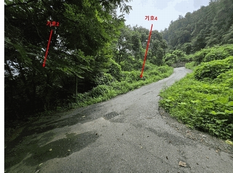 2024타경36904 경기도 양평군 강상면 세월리 산35 임야 경매 이미지