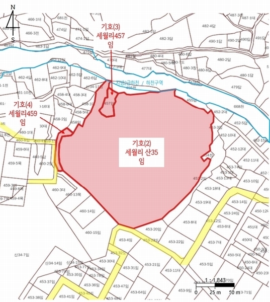 2024타경36904 경기도 양평군 강상면 세월리 산35 임야 경매 이미지
