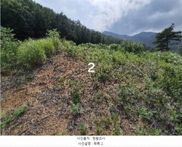 2024타경36904 경기도 양평군 강상면 세월리 산35 임야 경매 이미지