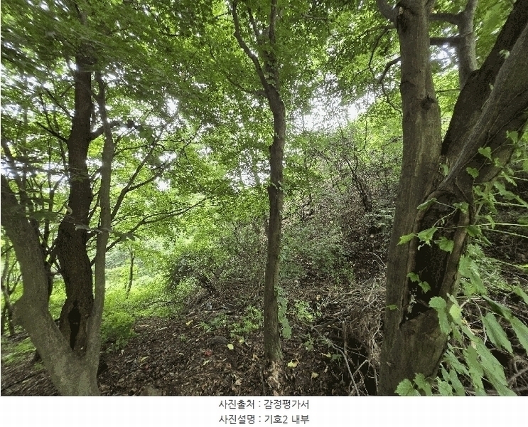 2024타경36904 경기도 양평군 강상면 세월리 산35 임야 경매 이미지