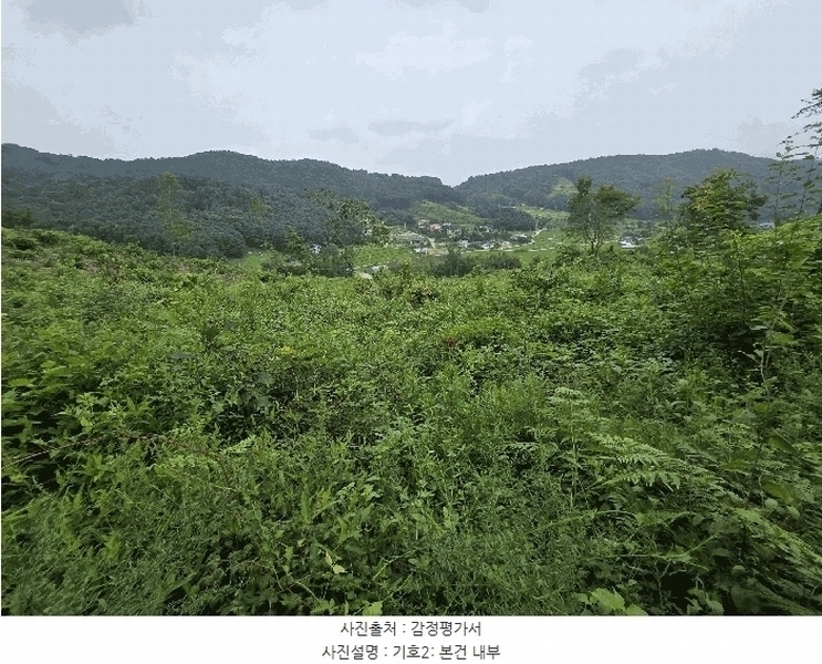 2024타경36904 경기도 양평군 강상면 세월리 산35 임야 경매 이미지