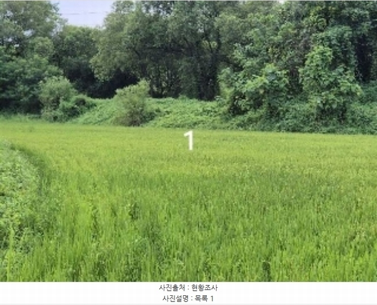 2024타경37143 경기도 여주시 대신면 하림리 590-1 농지 경매 이미지