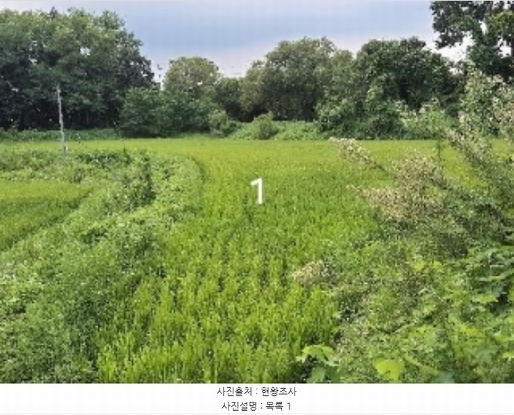 2024타경37143 경기도 여주시 대신면 하림리 590-1 농지 경매 이미지