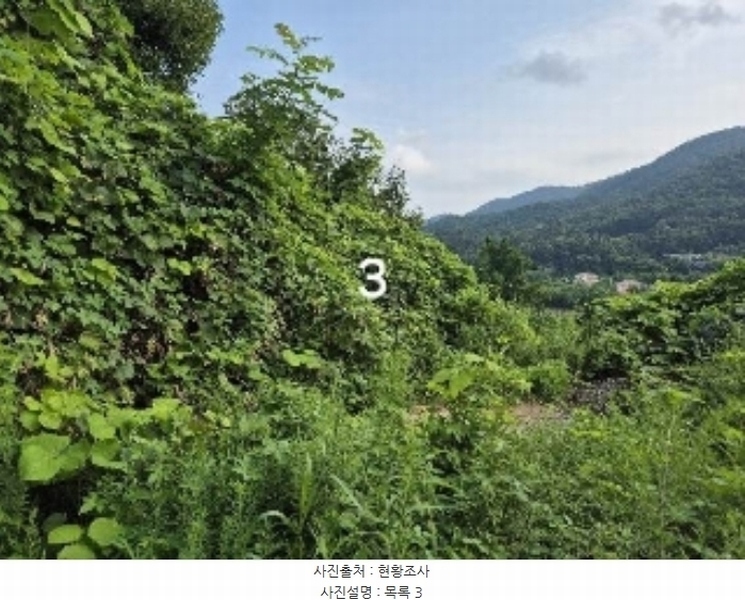 2024타경37440 경기도 양평군 강하면 항금리 374-7 창고용지 경매 이미지