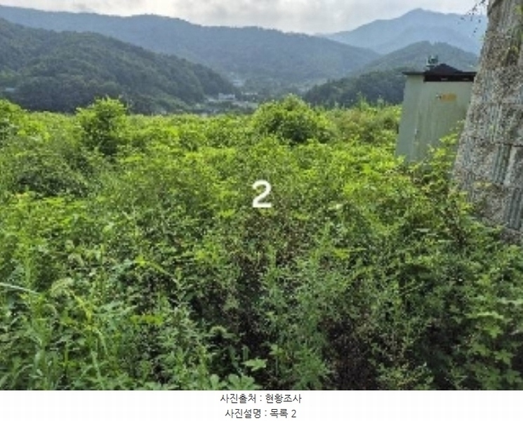 2024타경37440 경기도 양평군 강하면 항금리 374-7 창고용지 경매 이미지
