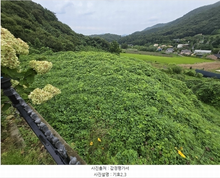 2024타경37440 경기도 양평군 강하면 항금리 374-7 창고용지 경매 이미지