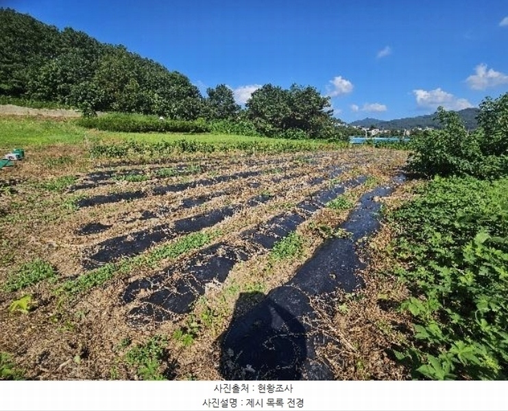 2024타경37891 경기도 양평군 용문면 광탄리 408-2 농지 경매 이미지