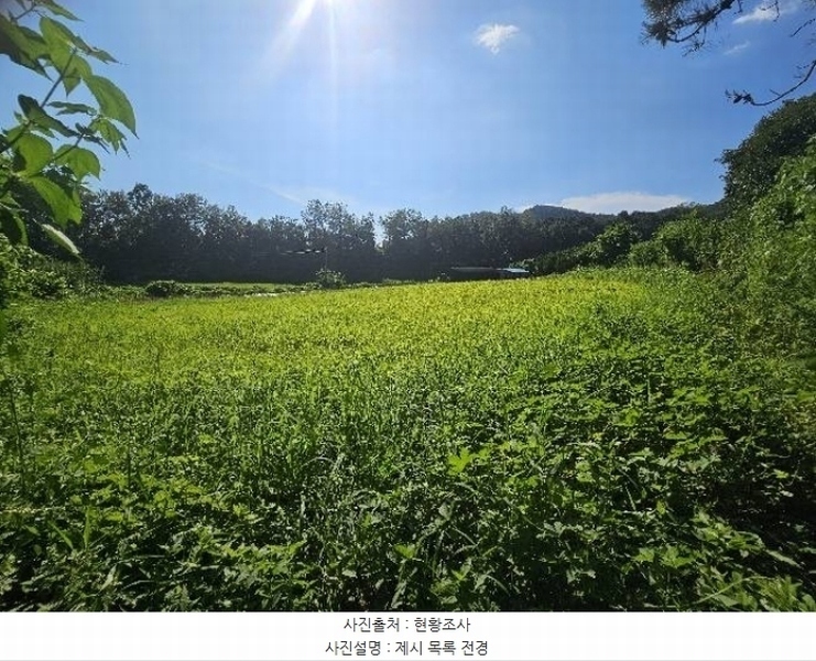 2024타경37891 경기도 양평군 용문면 광탄리 408-2 농지 경매 이미지